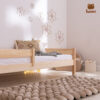 Giường ngủ đơn trẻ em Caracas Premium Bed