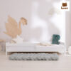 Giường ngủ đơn trẻ em Caracas Premium Bed