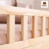 Giường ngủ đơn trẻ em Paris Simple Bed