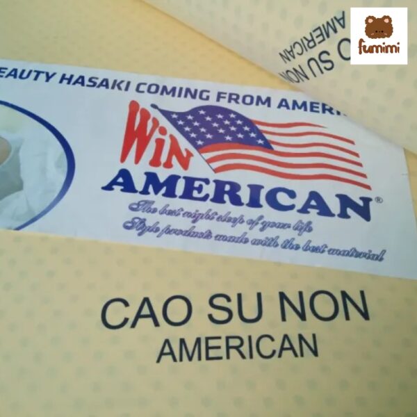 Nệm cao su American loại 2 dày 10cm
